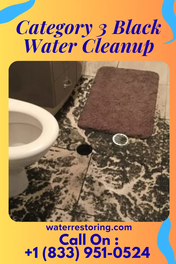 Category 3 Black Water Cleanup in Upper Red Hook, NY