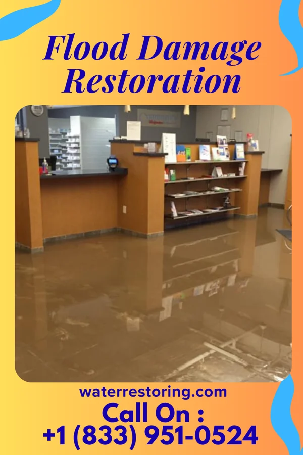 Flood Damage Restoration in Upper Red Hook, NY