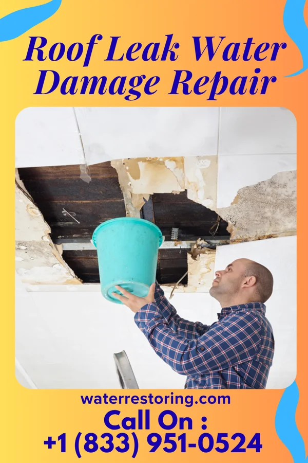 Roof Leak Water Damage Repair in Upper Red Hook, NY