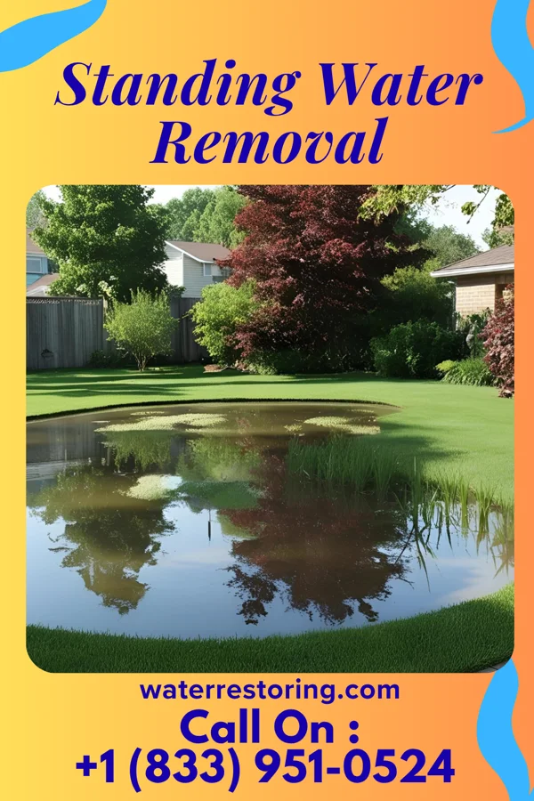 Standing Water Removal in Upper Red Hook, NY